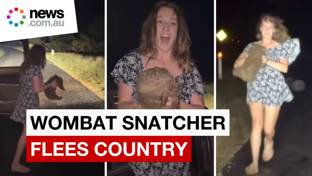 American influencer Sam Jones leaves Australia after baby wombat grab ...