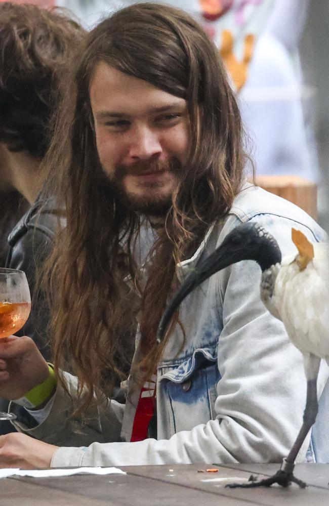 He looked like he was bonding with the bin chicken. Picture: MediaMode