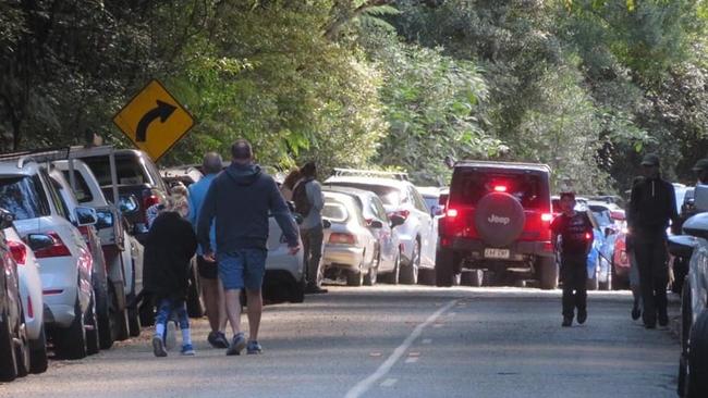 Crowds at Springbrook in the Gold Coast hinterland.