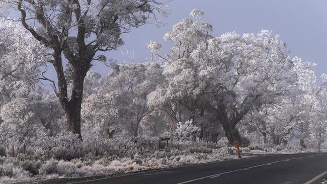 Stunning images of a wintry Central Highlands. Image: Gill Dayton/ Tassie Apple Spice photography.