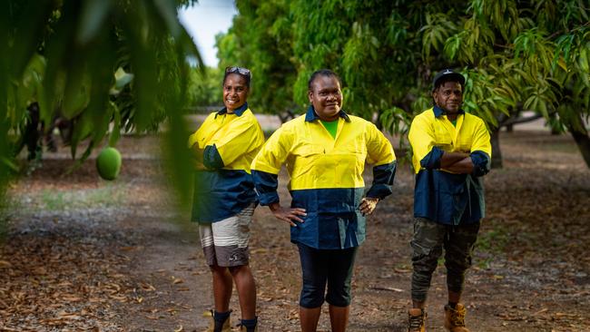 Seasonal workers Annie Kintor, Charline Lolting and Bill Frazer Alling started working at Arnhem Mangoes last month. Picture: Che Chorley