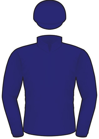 2019 Melbourne Cup runner Hunting Horn.