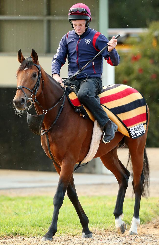 Sir Isaac Newton is among a strong European contingent in the Caulfield Cup. Picture: Mark Stewart