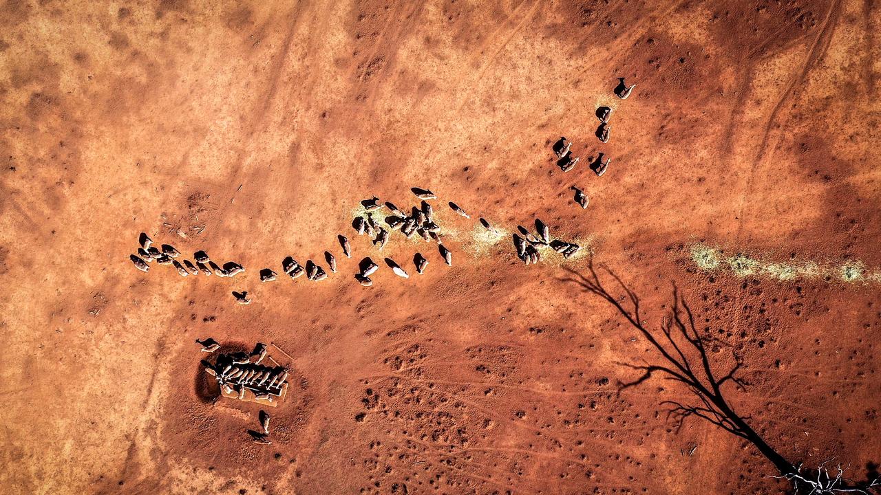 The latest report from the CSIRO and BOM predicted that climate change will likely lead to more time in drought. Picture: Getty.