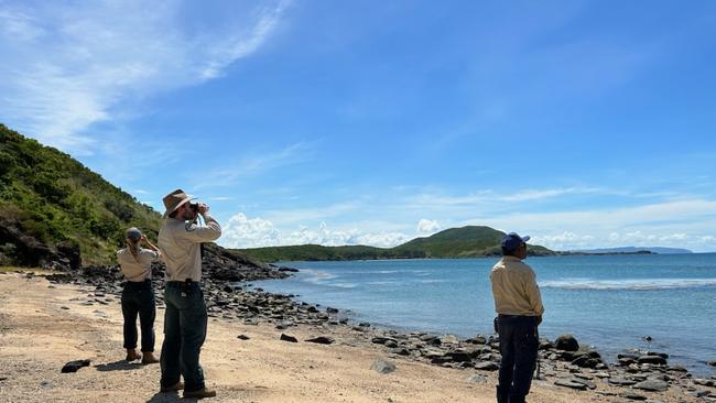 QPWS wildlife officers and a Yuku Baja Muliku ranger taken during land-based searches on Monday Afternoon. Photo: Department of Environment and science.