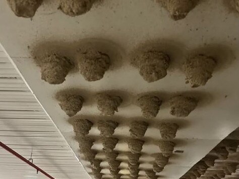 Ceiling of carpark at Westfield Kotara. Picture: Reddit