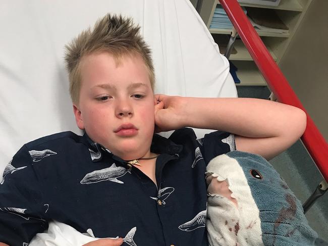 Huckleberry Myers, 9, and “Sharky” recovering in the Women's and Children's Hospital after he was stabbed during a violent car robbery outside his family's Unley home. Picture: supplied by family