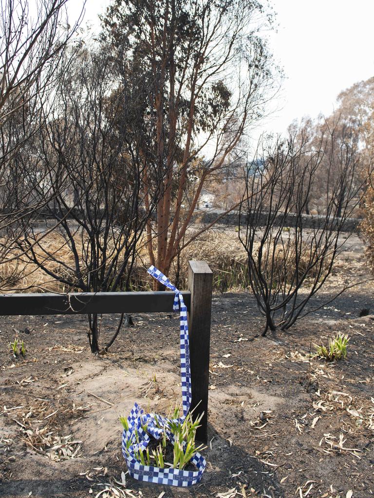 Detectives from Whittlesea CIU are investigating the Plenty Gorge bushfire. Picture: Ellen Smith