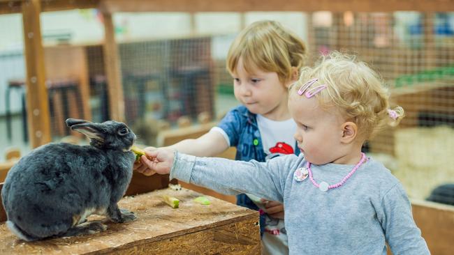 Children interact with farm animals at the Paddy's Market petting zoo