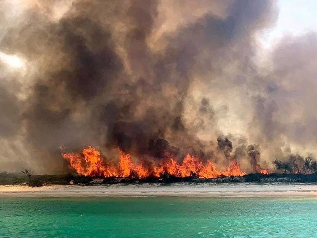 The bushfire razed about 87,000 hectares of vegetation on Fraser Island.