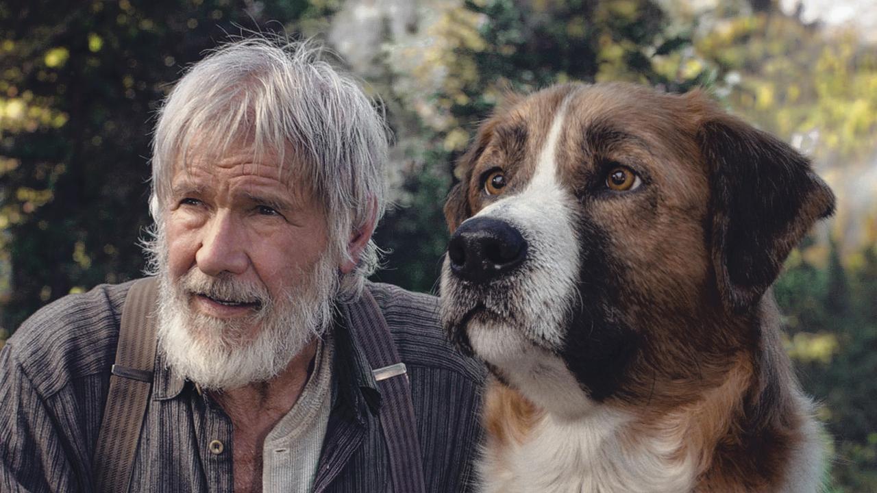 Harrison Ford in The Call of the Wild.