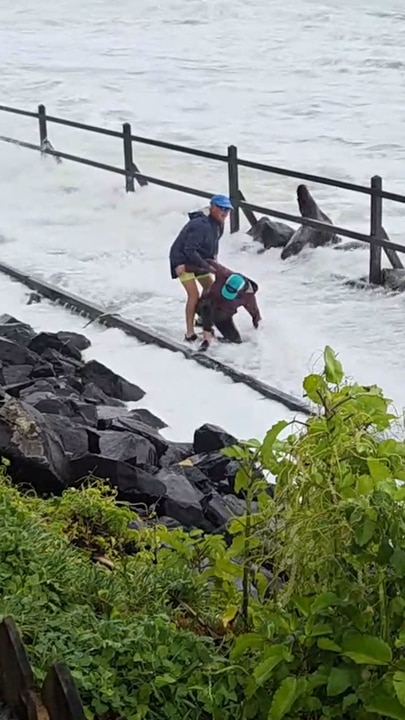 Fears for northern NSW as cyclone intensifies