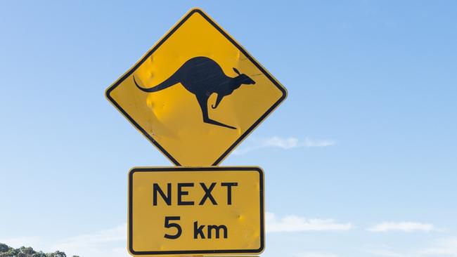 The man in his 30s lost control after swerving to avoid a Kangaroo