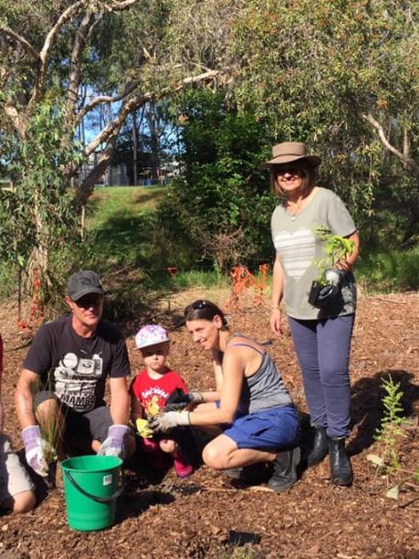 Residents are supporting koala habitat protection by planting trees across the Redlands Coast