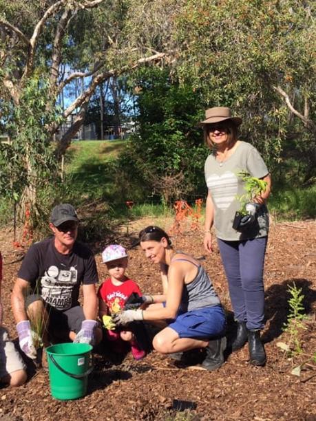 Residents are supporting koala habitat protection by planting trees across the Redlands Coast 