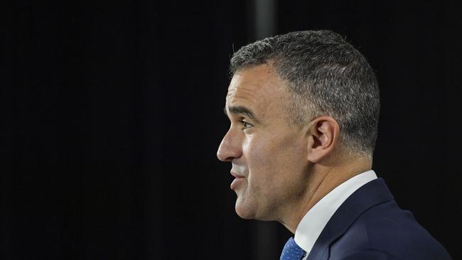 Premier Peter Malinauskas announced the inquiry in August. Picture: NCA NewsWire / Roy VanDerVegt