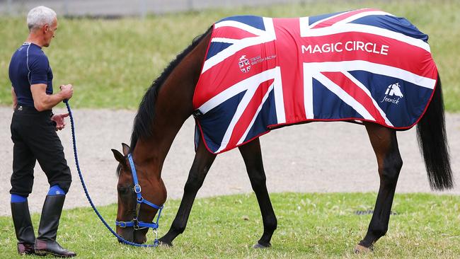 Magic Circle has a spell on the grass during a Werribee trackwork session. Picture: Michael Dodge