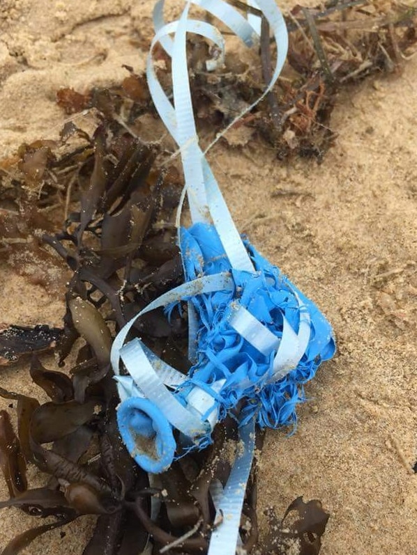 A balloon with plastic ties washed up on Boambee Beach. Picture: Supplied.