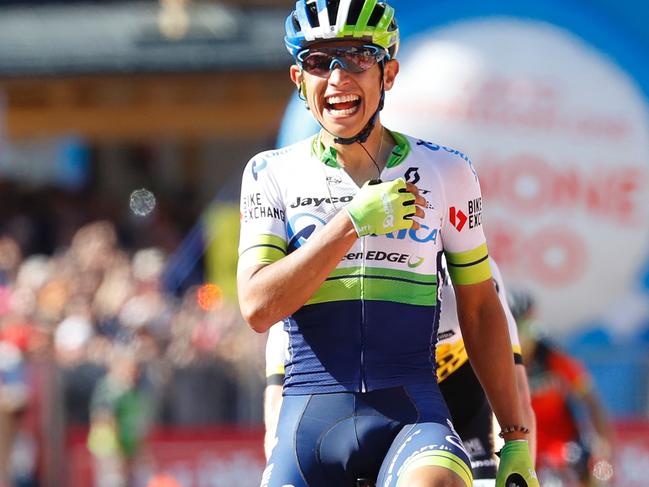 Colombia's Esteban Chaves of team Orica celebrates as he crosses the finish line to win the 14th stage of the 99th Giro d'Italia, Tour of Italy, from Farra d'Alpago to Corvara on May 21, 2016. / AFP PHOTO / Luk BENIES