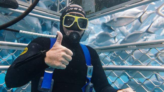 Greg Norman enjoyed a shark cage dive experience on the Eyre Peninsula ahead of LIV Golf Adelaide. Picture: supplied