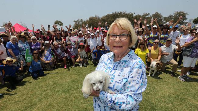 Dawn Crichlow at the great lawn at Broadwater Parklands with a community groups farewell day for her retirement, which sparked a Melbourne Cup field of candidates.