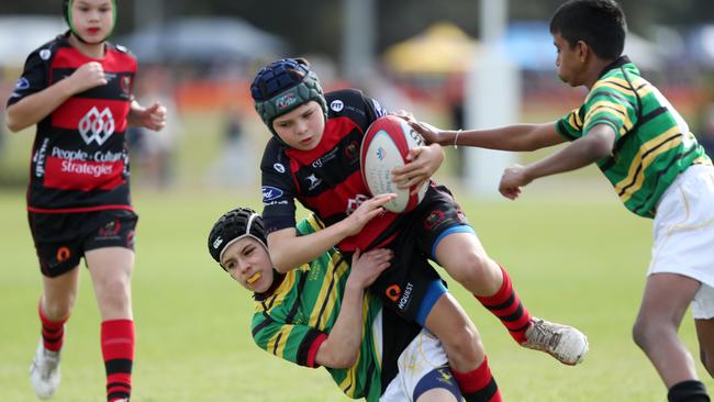 Northern Suburbs v Gordon at the gala on Saturday. Pic: Sue Graham