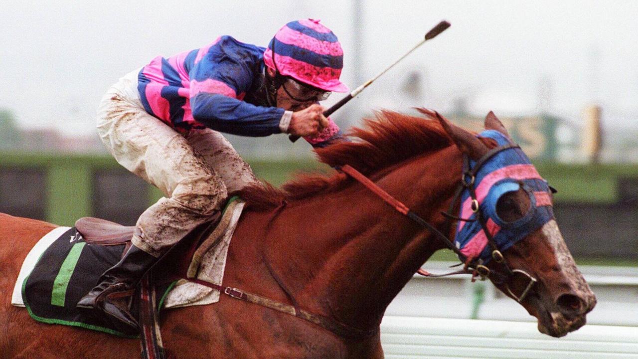 06/10/1996 PIRATE: Flemington horse races.  Race 5.  Doriemus, jockey Greg Hall, push home to the post after slogging through the mud over 2000 meres to win the Turnbull Stakes.  a/ct  Oct. 96  Dated photo 5.10.96/Racehorses/Racing