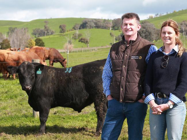 Buyers Craig Schlz and Ayla Ansell from Woorinyan Pastoral Company in Culcairn who bought the highest priced bull at the Paringa spring bull sale. Picture: Andy Rogers