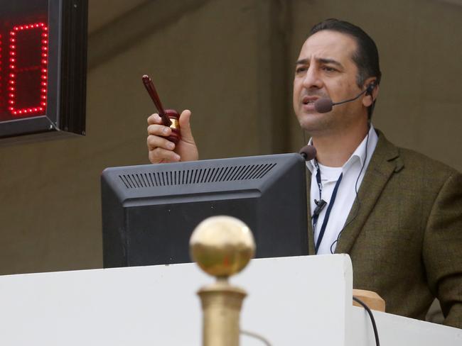 Dr. Amad Ashaab the auctioneer at Al Shaab Stud sale and owner of the stable