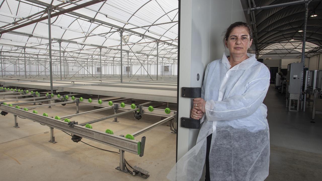 SA Tomato owner Oriana Petsios. Picture: Brett Hartwig