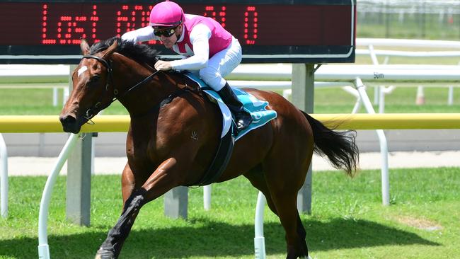 Tony Gollan's filly Skirt The Law has created a big impression. Picture: Grant Peters – Trackside Photography/