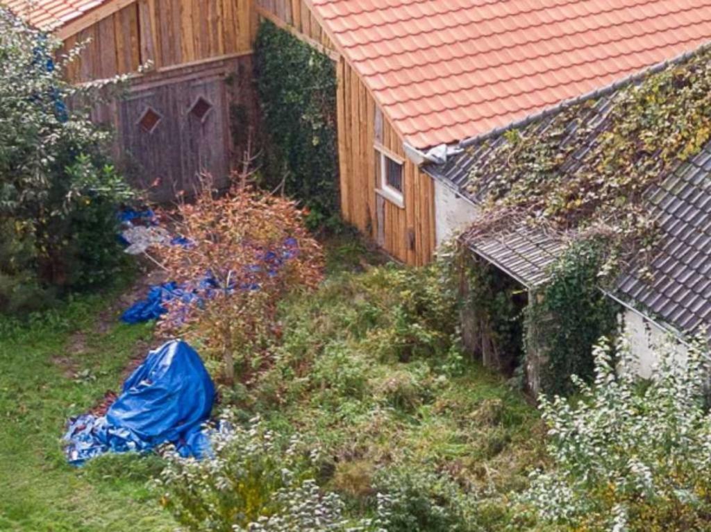 Some entrances to the house are covered by vines. Picture: Wilbert Bijzitter/EPA/AAP