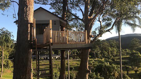 Treehouse accommodation at Austinvilla Estate, Austinville, Gold Coast