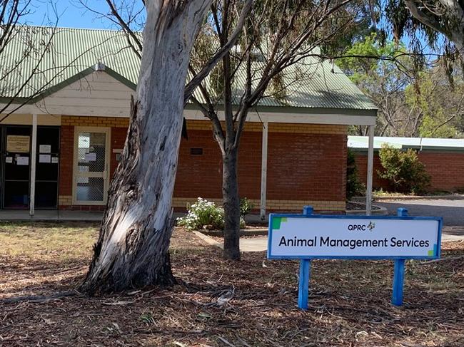 The Queanbeyan Pound was closed on October 10 after a surrendered dog tested positive to the fatal virus, which then 'spread rapidly' between the 20 other dogs. Picture: Facebook