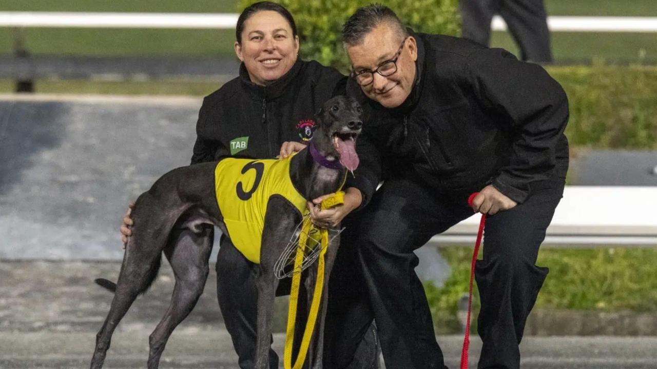 Greyhound trainer Myra Griffiths and Matt Hamilton with Newton Hayze. Picture: Supplied