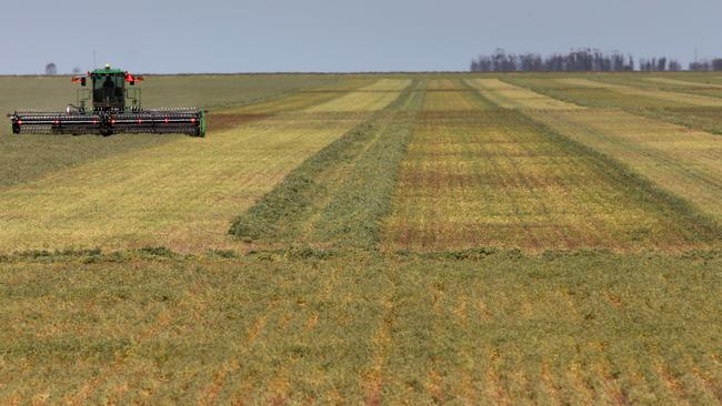 Falling demand: Continued rain in much of NSW and Victoria has dampened demand for hay. Picture: Andy Rogers