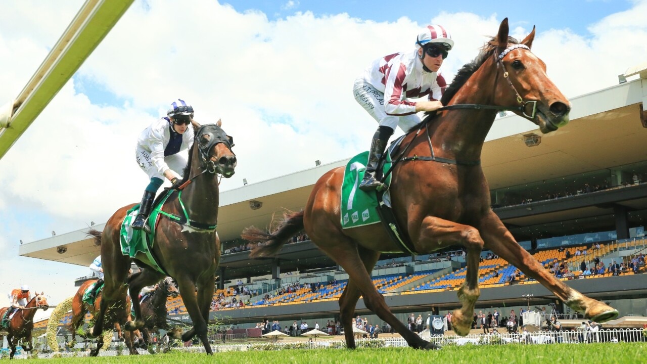 Country Championships head to Randwick