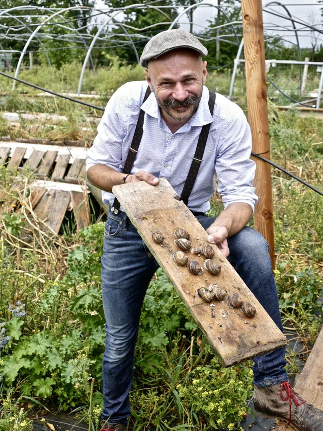 Andreas Gugumuck on his snail farm on the outskirts of Vienna. Picture: Kendall Hill