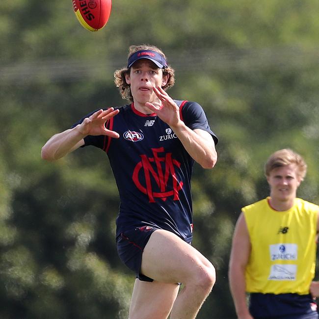 Ben Brown at training with new club Melbourne at Casey Fields Picture: Michael Klein