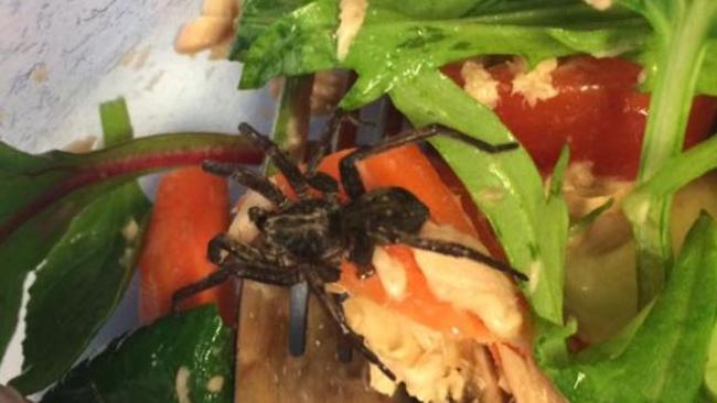 Brooke Wiramanaden found a spider in her Woolworths salad. Picture: Facebook.