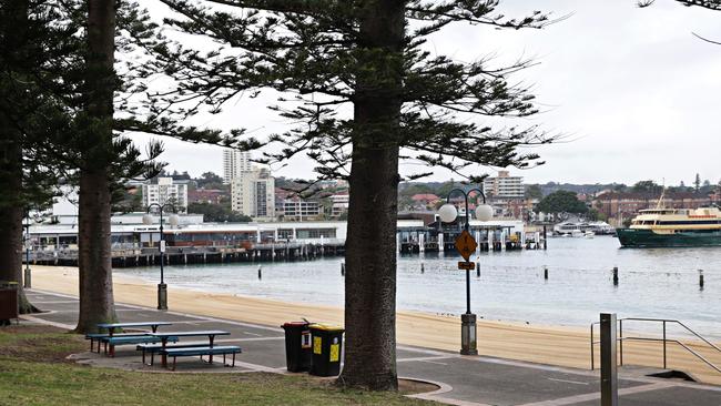 James Ardagh, 43, of Manly, pleaded guilty to assault and offensive behaviour charges after trying to bump elbows with strangers, and then abusing them when they refused, on West Esplanade on Tuesday night. Picture: Adam Yip