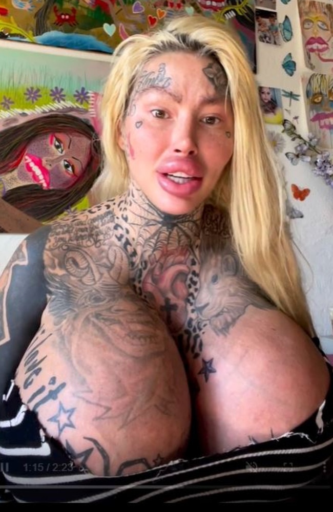 She said while she has the money to pay the $14,700 bill, she wanted to try her luck campaigning, as she didn’t want to for it all out of her own pocket. Picture: Instagram/1800leavemaryalone