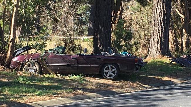 The pine tree hit the car about 11am yesterday. Picture: Pat Mitchell/3AW