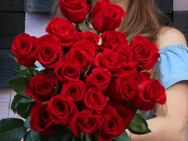 PICTURE ON HOLD PLEASE CONTACT  BRISBANE PICTURE DESK Ivanna Lorentzen, 19, of Rosita Flowers, with a dozen metre long stemmed Colombian roses, Chermside. Photographer: Liam Kidston.