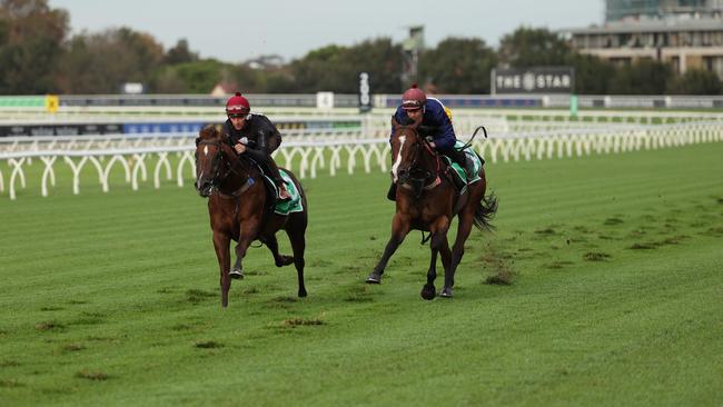 The Randwick track is currently rated a Heavy 9. Picture: Rohan Kelly