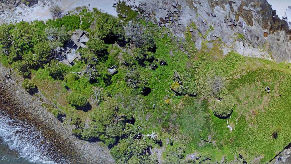 Drone photo of Old Woman Island. Picture: John Anderson