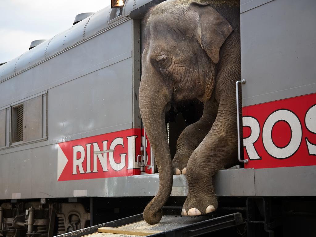 “There are more than 300 people that work with the Ringling Bros. and Barnum Bailey circus blue unit, representing 25 different countries and speaking everything from Russian to Arabic to Guarani.” Picture: Stephanie Sinclair, US, Shortlist, Professional Daily Life, 2016 Sony World Photography Awards / National Geographic Creative