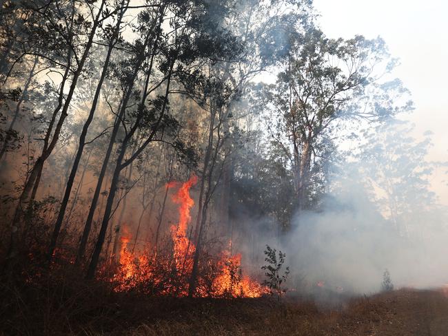 Firefighters battle bushfires in Busbys Flat, northern NSW, Wednesday, October 9, 2019. (AAP Image/Jason O'Brien)