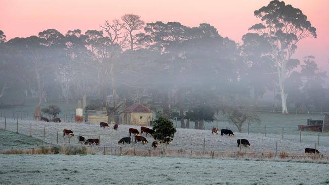 Frost on paddocks at Meadows. Picture: Sam Wundke/AAP