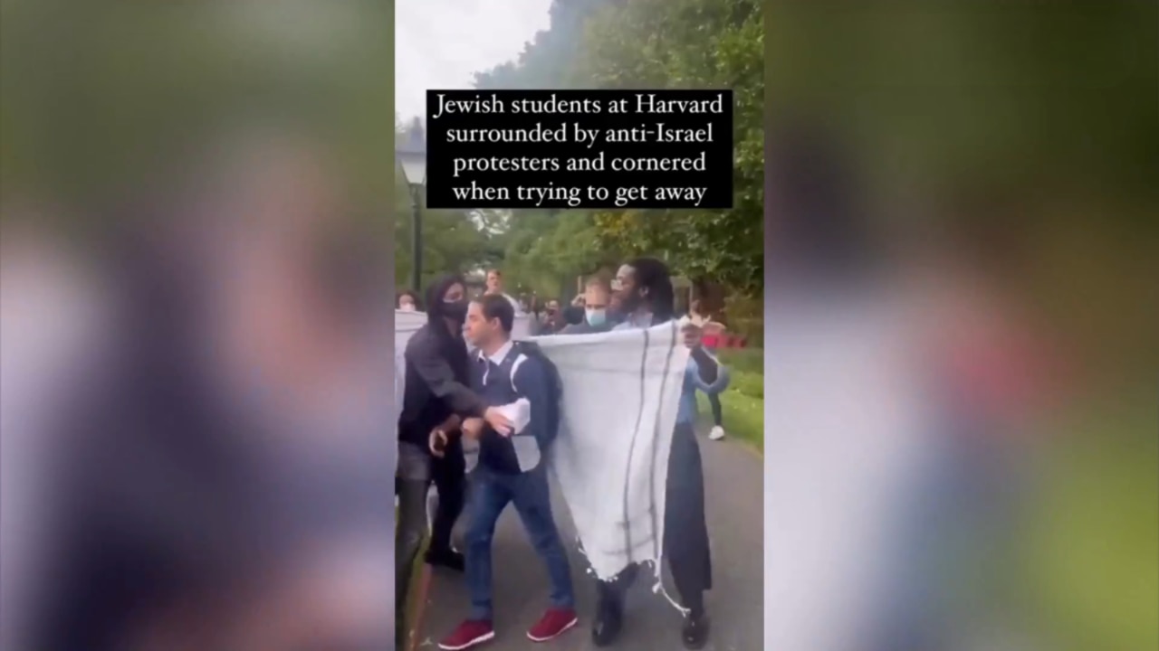 Anti-Israel Harvard protesters gang up on Jewish student | Sky News ...